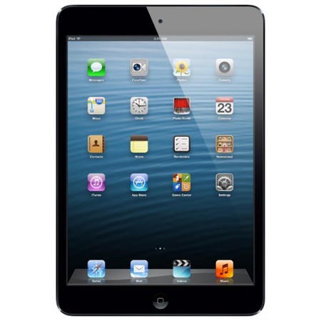 Apple iPad mini 64Gb Wi-Fi черный - Иваново